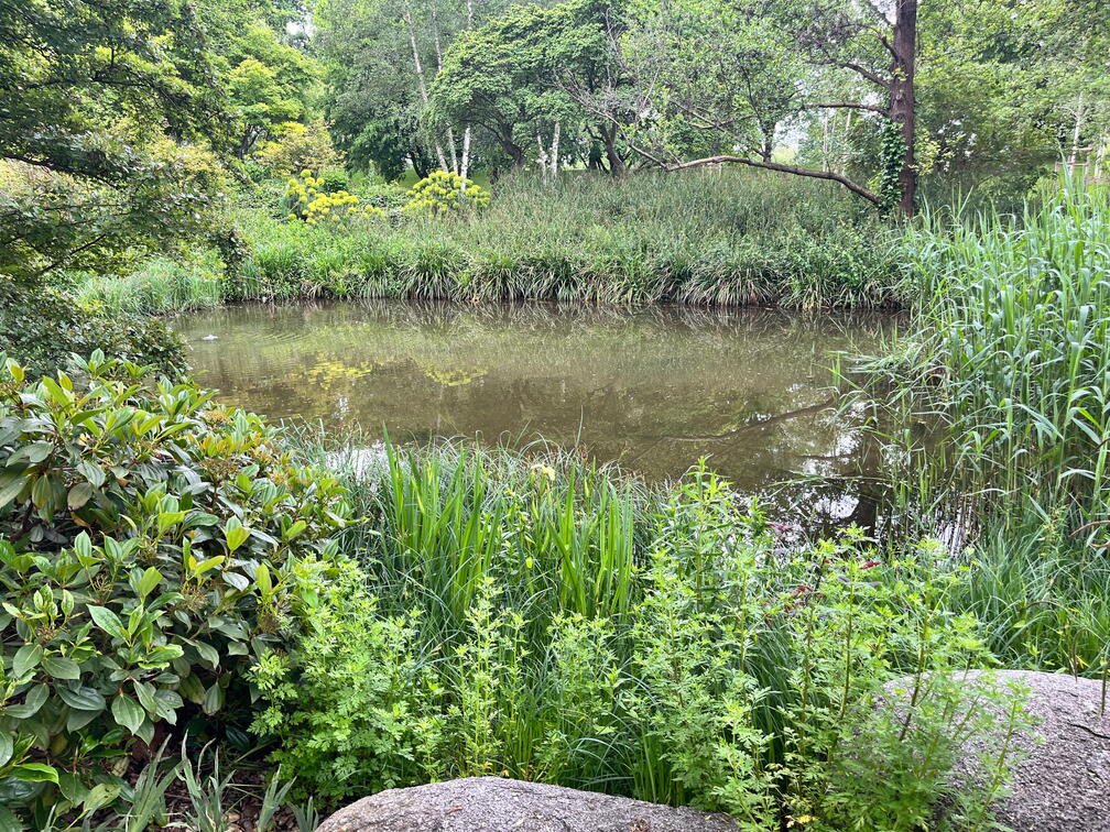 23-05-16 12-58-44 5407